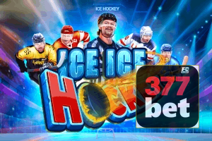 377BET feedback — categorias de sugestão e melhoria no app
