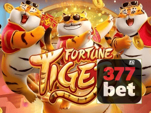 Guia install APK 377BET BR