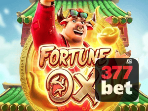 377BET login — painel de entrada no app oficial