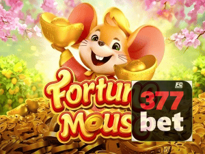 377BET login — configurações de segurança e proteção de conta